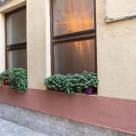 Bistriţa Raphaela Residence المظهر الخارجي الصورة